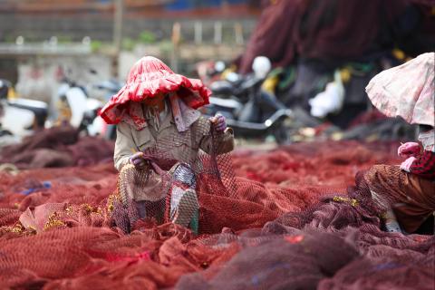 Liu Zhenqing, VCG, Getty Images